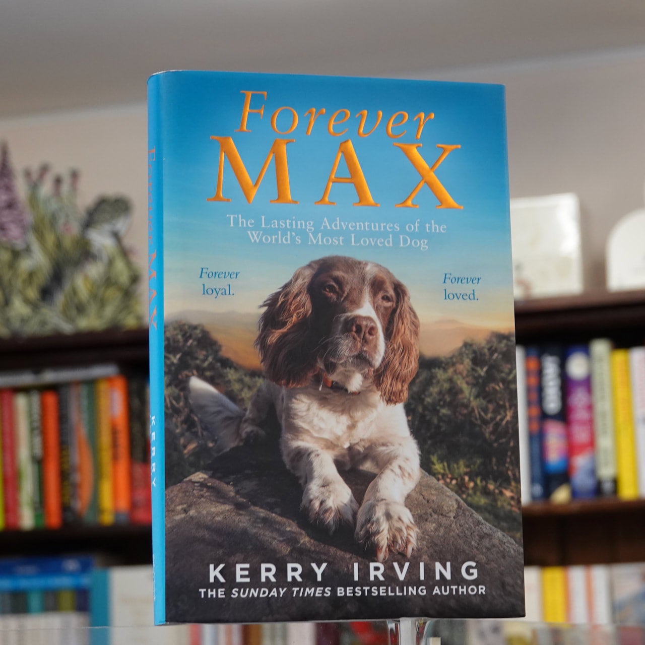Kerry Irving Forever Max The Lasting Adventures of the World s Most Loved Dog Sam Read Bookseller Online Shop